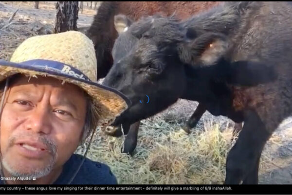 Alqudsi Agri Group Profile-12 Alqudsi Agri Group Profile-12