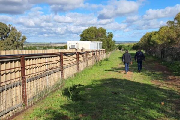 alqudsi agri indonesia 3 alqudsi agri indonesia 3