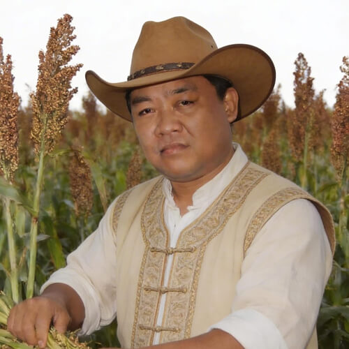 director human resources