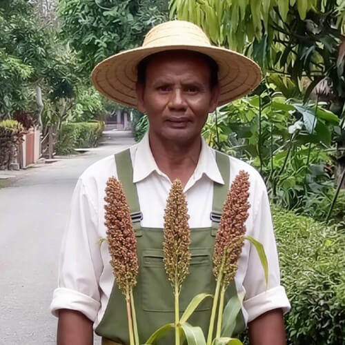 chairman of the cooperative